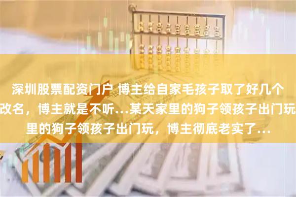 深圳股票配资门户 博主给自家毛孩子取了好几个雷霆名字，评论区劝改名，博主就是不听…某天家里的狗子领孩子出门玩，博主彻底老实了…