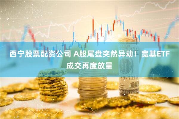 西宁股票配资公司 A股尾盘突然异动！宽基ETF成交再度放量